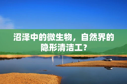 沼泽中的微生物，自然界的隐形清洁工？