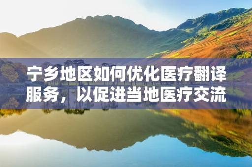 宁乡地区如何优化医疗翻译服务，以促进当地医疗交流？