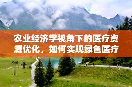 农业经济学视角下的医疗资源优化，如何实现绿色医疗