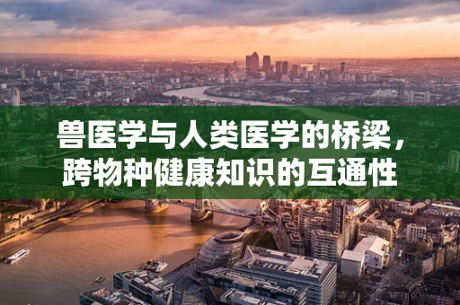 兽医学与人类医学的桥梁，跨物种健康知识的互通性