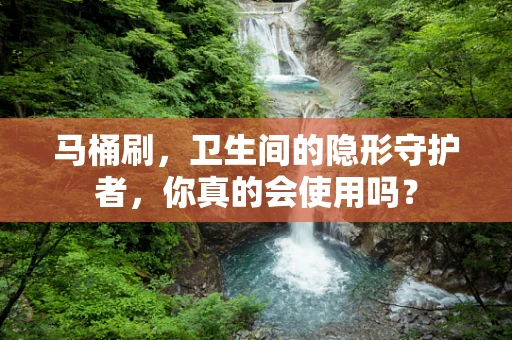 马桶刷，卫生间的隐形守护者，你真的会使用吗？