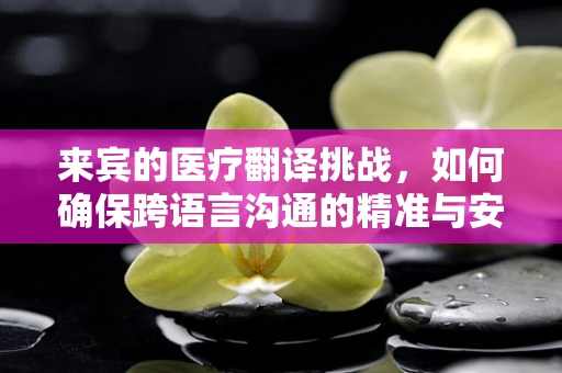 来宾的医疗翻译挑战，如何确保跨语言沟通的精准与安全？