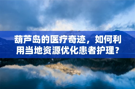 葫芦岛的医疗奇迹，如何利用当地资源优化患者护理？