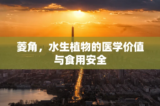 菱角，水生植物的医学价值与食用安全