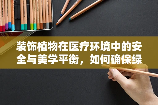 装饰植物在医疗环境中的安全与美学平衡，如何确保绿色不伤健康？