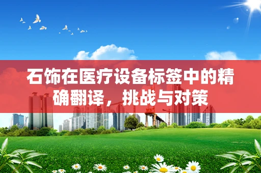 石饰在医疗设备标签中的精确翻译，挑战与对策