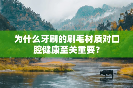 为什么牙刷的刷毛材质对口腔健康至关重要？