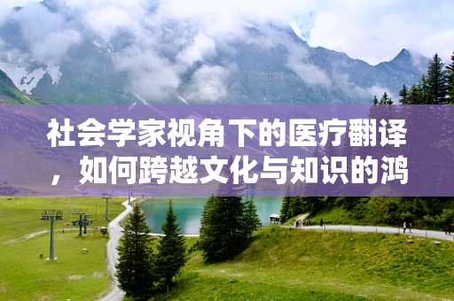 社会学家视角下的医疗翻译，如何跨越文化与知识的鸿沟？