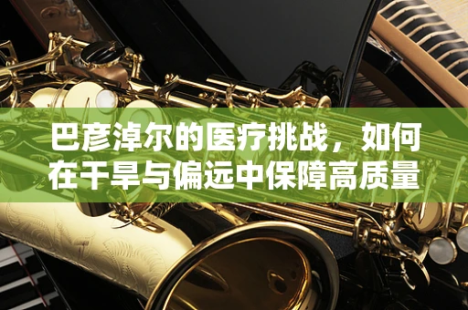 巴彦淖尔的医疗挑战，如何在干旱与偏远中保障高质量医疗服务？