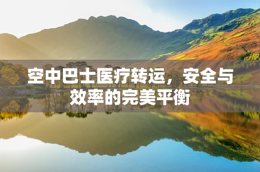 空中巴士医疗转运，安全与效率的完美平衡