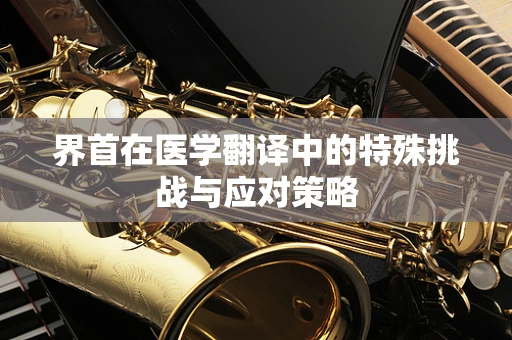 界首在医学翻译中的特殊挑战与应对策略