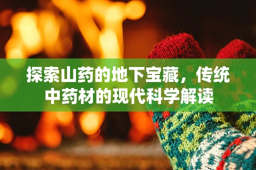 探索山药的地下宝藏，传统中药材的现代科学解读