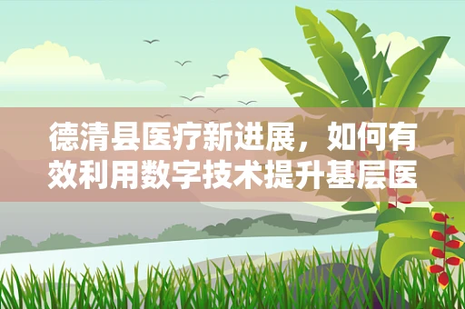 德清县医疗新进展，如何有效利用数字技术提升基层医疗服务质量？