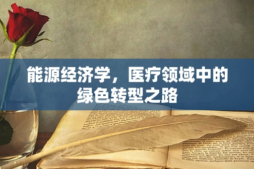能源经济学，医疗领域中的绿色转型之路