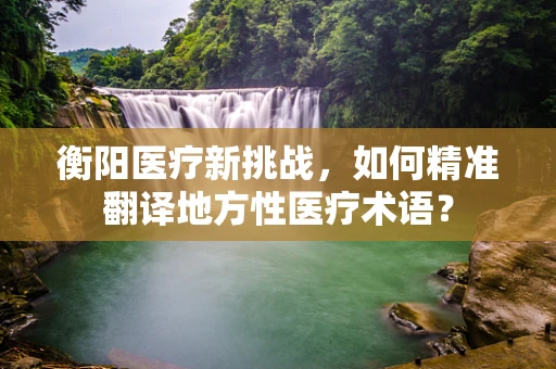 衡阳医疗新挑战，如何精准翻译地方性医疗术语？