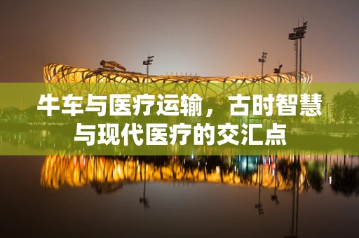 牛车与医疗运输，古时智慧与现代医疗的交汇点