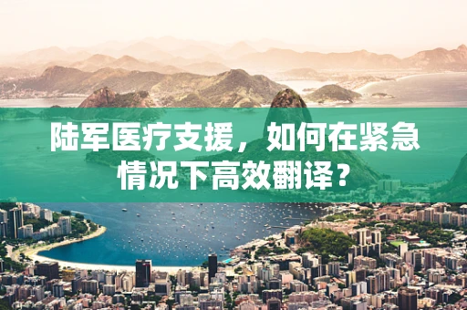 陆军医疗支援，如何在紧急情况下高效翻译？