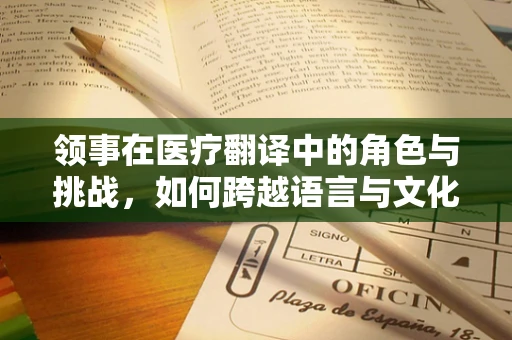 领事在医疗翻译中的角色与挑战，如何跨越语言与文化的鸿沟？