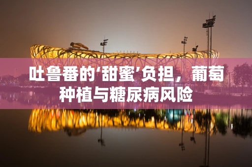 吐鲁番的‘甜蜜’负担，葡萄种植与糖尿病风险