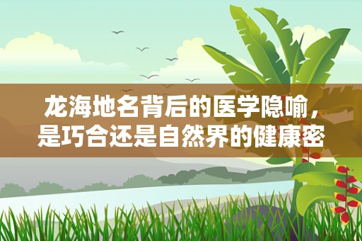 龙海地名背后的医学隐喻，是巧合还是自然界的健康密码？