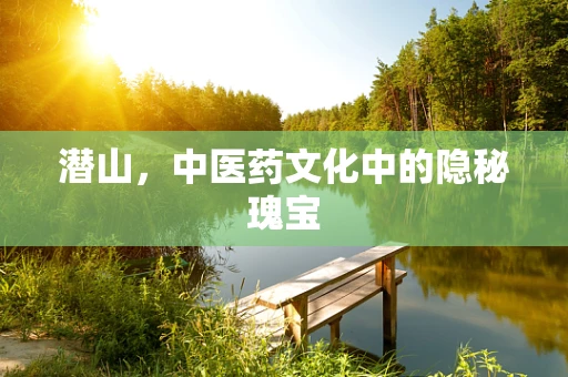 潜山，中医药文化中的隐秘瑰宝