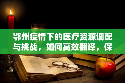 鄂州疫情下的医疗资源调配与挑战，如何高效翻译，保障信息畅通？