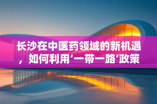 长沙在中医药领域的新机遇，如何利用‘一带一路’政策促进国际交流？