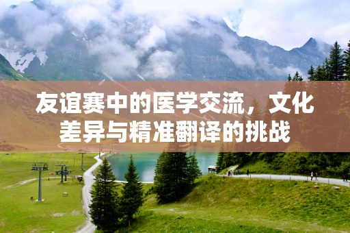 友谊赛中的医学交流，文化差异与精准翻译的挑战