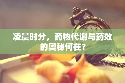 凌晨时分，药物代谢与药效的奥秘何在？