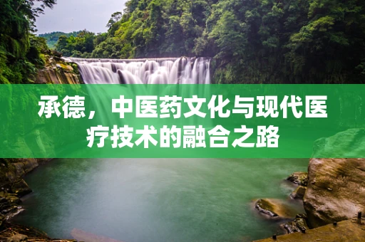 承德，中医药文化与现代医疗技术的融合之路