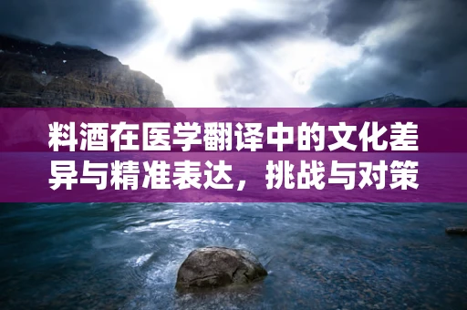 料酒在医学翻译中的文化差异与精准表达，挑战与对策