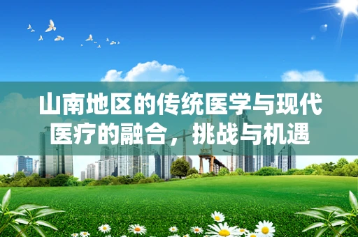 山南地区的传统医学与现代医疗的融合，挑战与机遇