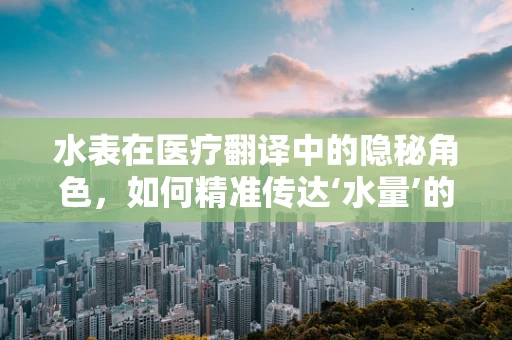水表在医疗翻译中的隐秘角色，如何精准传达‘水量’的医学信息？