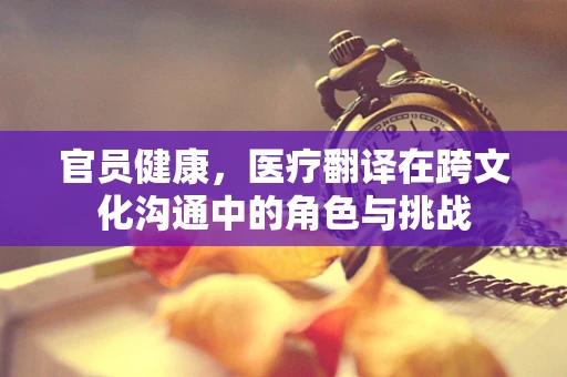 官员健康，医疗翻译在跨文化沟通中的角色与挑战