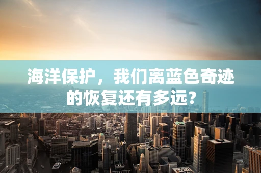海洋保护，我们离蓝色奇迹的恢复还有多远？