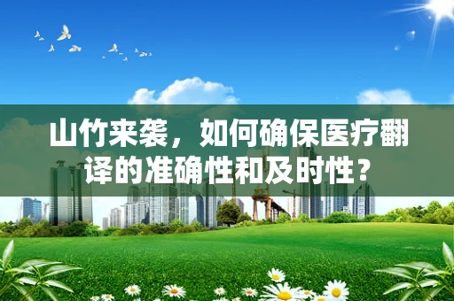 山竹来袭，如何确保医疗翻译的准确性和及时性？