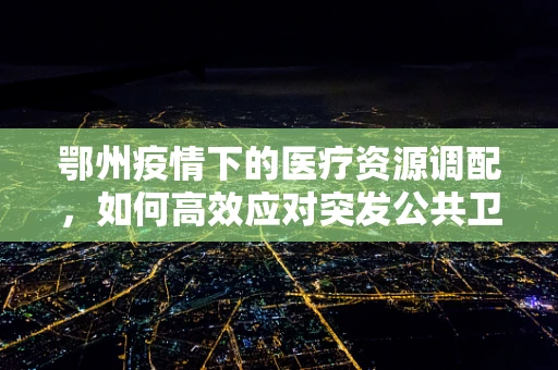 鄂州疫情下的医疗资源调配，如何高效应对突发公共卫生事件？