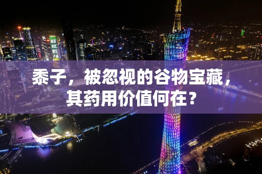 黍子，被忽视的谷物宝藏，其药用价值何在？