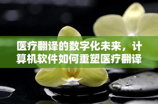 医疗翻译的数字化未来，计算机软件如何重塑医疗翻译的精准与效率？