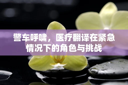 警车呼啸，医疗翻译在紧急情况下的角色与挑战