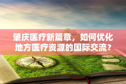 肇庆医疗新篇章，如何优化地方医疗资源的国际交流？