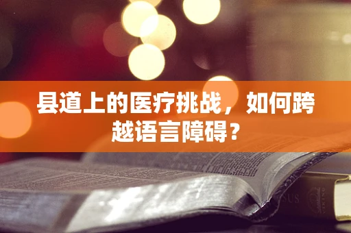 县道上的医疗挑战，如何跨越语言障碍？