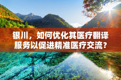 银川，如何优化其医疗翻译服务以促进精准医疗交流？