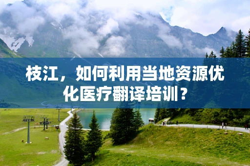 枝江，如何利用当地资源优化医疗翻译培训？