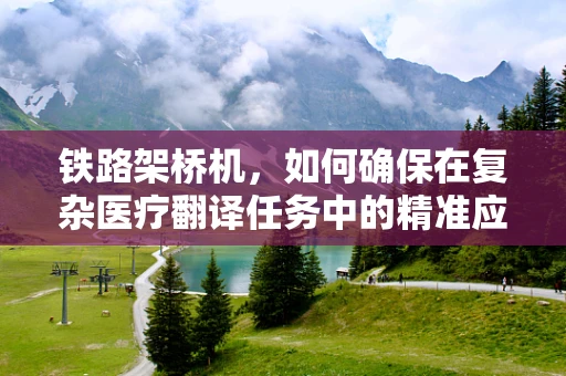 铁路架桥机，如何确保在复杂医疗翻译任务中的精准应用？