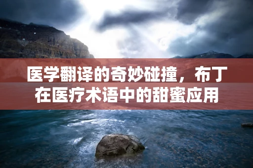 医学翻译的奇妙碰撞，布丁在医疗术语中的甜蜜应用