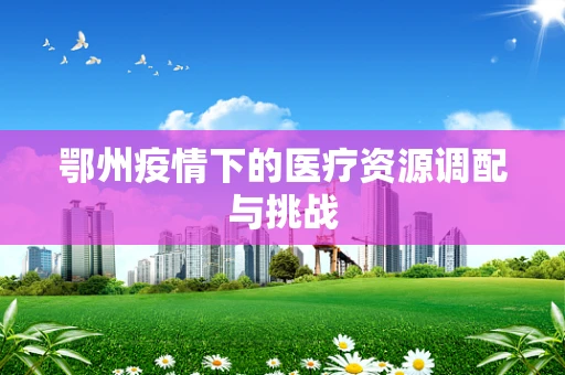 鄂州疫情下的医疗资源调配与挑战