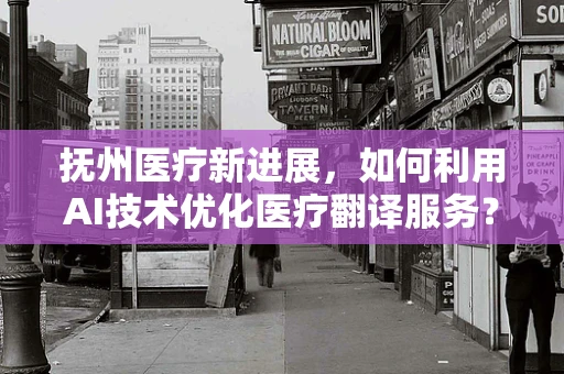 抚州医疗新进展，如何利用AI技术优化医疗翻译服务？