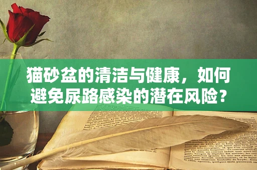 猫砂盆的清洁与健康，如何避免尿路感染的潜在风险？