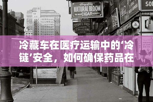冷藏车在医疗运输中的‘冷链’安全，如何确保药品在运输中的稳定性？